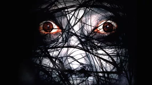 Watch The Grudge 2 Trailer