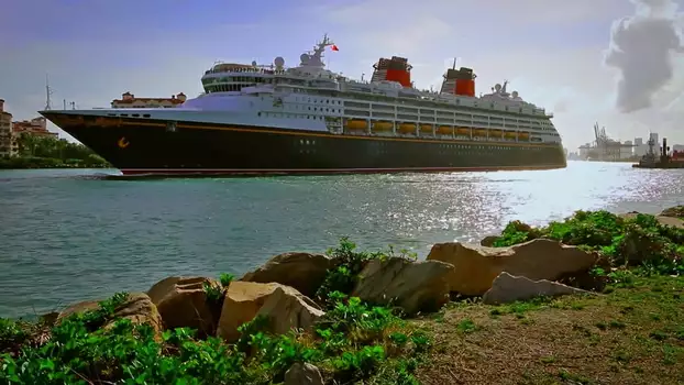 Watch The Wrong Cruise Trailer