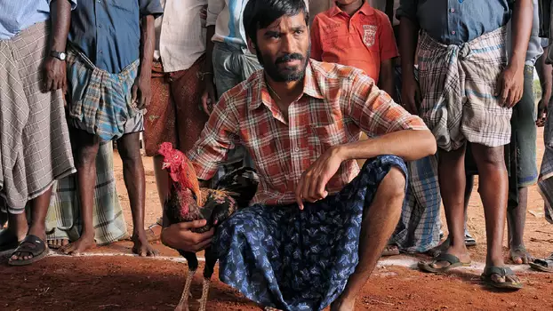 Watch Aadukalam Trailer