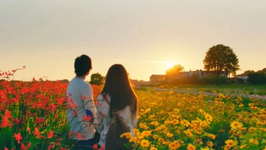 Watch The Hows of Us Trailer