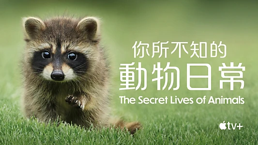 The Secret Lives of Animals