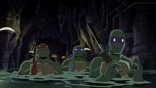 Batman vs Teenage Mutant Ninja Turtles