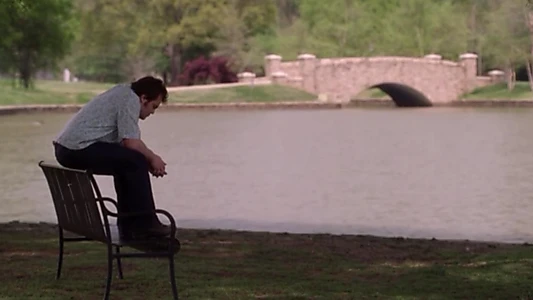 Shallow Hal