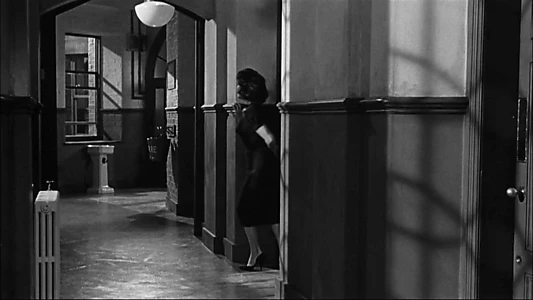 Suddenly, Last Summer