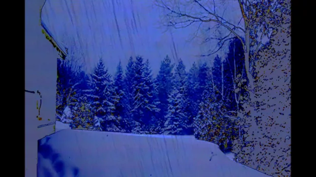 Cottage Movie