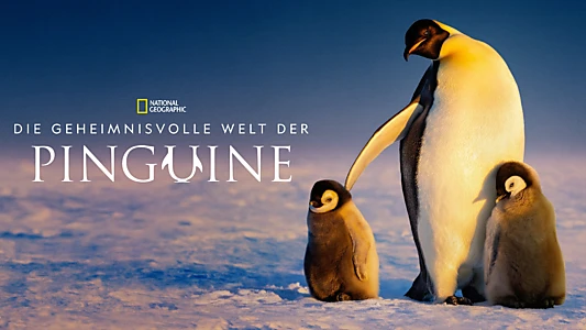 Secrets of the Penguins