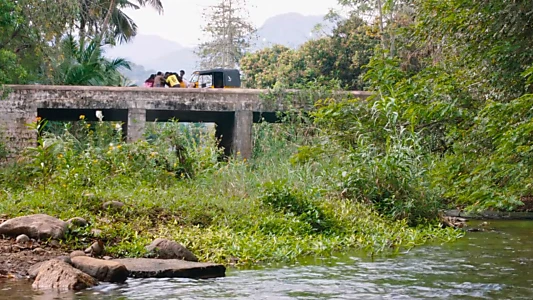 Kottukkaali