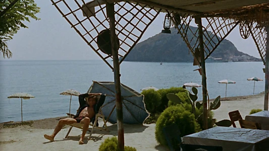 Purple Noon
