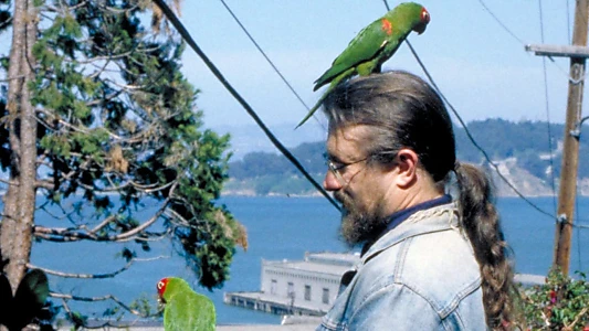 Watch The Wild Parrots of Telegraph Hill Trailer