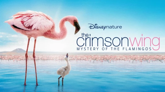 Watch The Crimson Wing: Mystery of the Flamingos Trailer