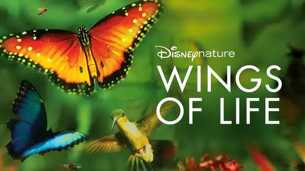 Watch Wings of Life Trailer