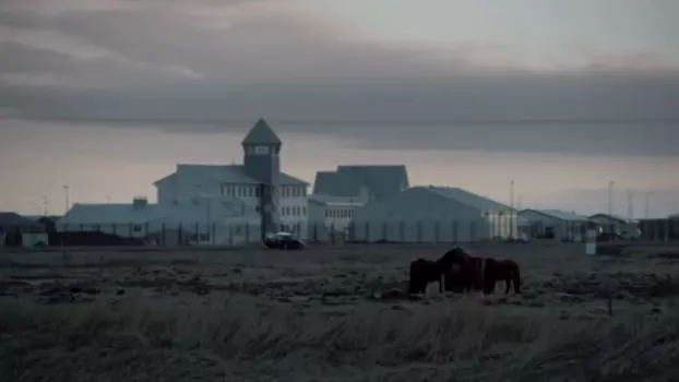 Watch The Prison Shift Trailer