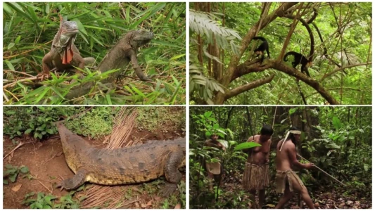 Watch World Natural Heritage Costa Rica: Guanacaste National Park Trailer