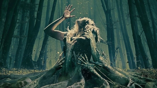 Watch The Forest Trailer