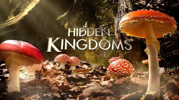 Watch Hidden Kingdoms Trailer
