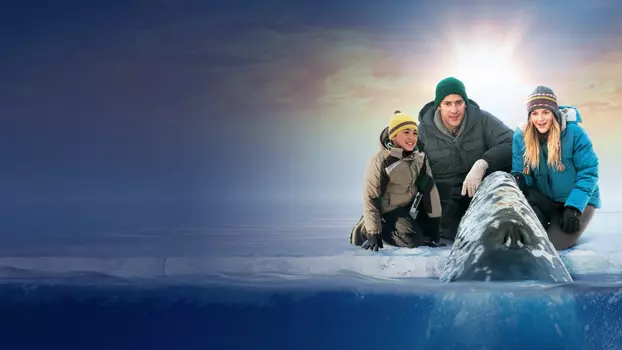 Watch Big Miracle Trailer