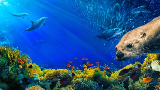 Watch Oceans: Our Blue Planet Trailer