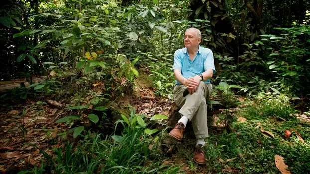 Watch Attenborough: 60 Years in the Wild Trailer