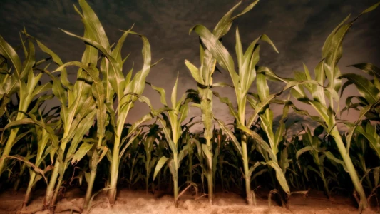 Watch Children of the Corn: Revelation Trailer