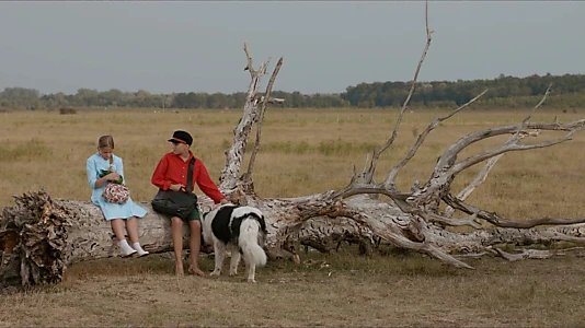 Watch The Brave Adventures of a Little Shoemaker Trailer