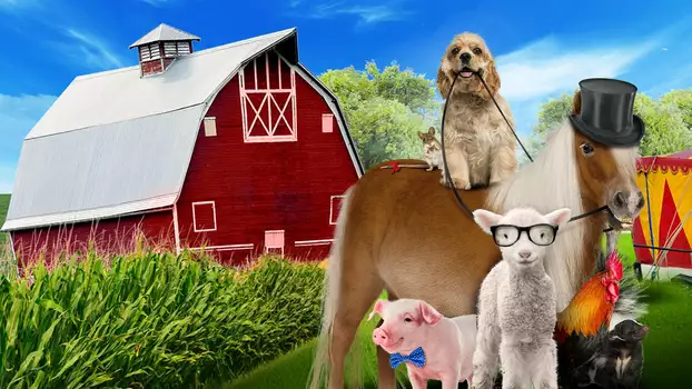 Watch A Dog and Pony Show Trailer