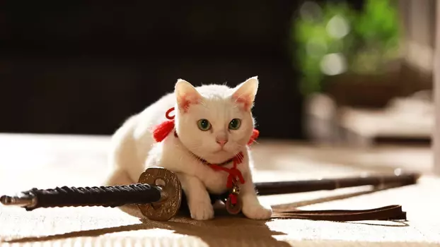 Watch Samurai Cat 2: A Tropical Adventure Trailer