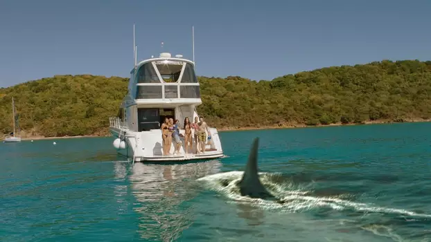 Watch Mississippi River Sharks Trailer
