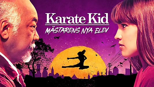 The Next Karate Kid