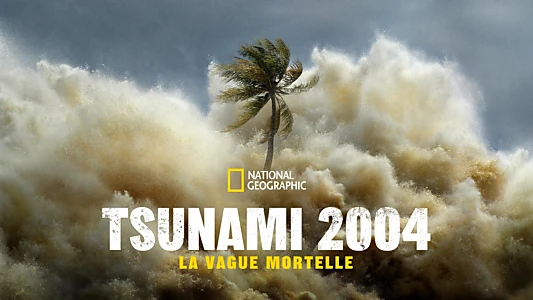 Tsunami: Race Against Time