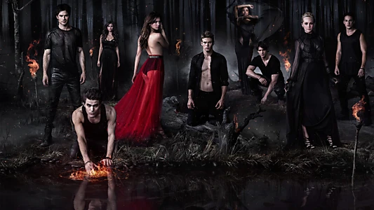 The Vampire Diaries