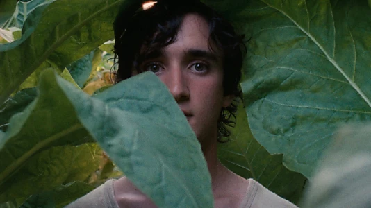 Happy as Lazzaro