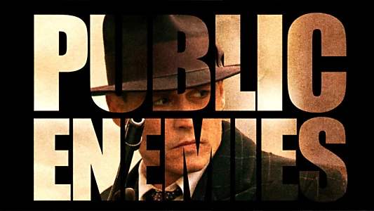 Public Enemies