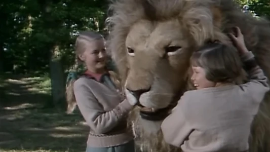 The Chronicles of Narnia: The Lion, the Witch & the Wardrobe