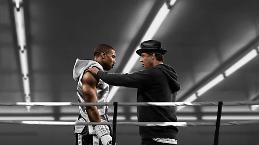 Pain & Gain