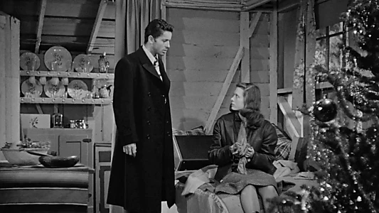 They Live by Night