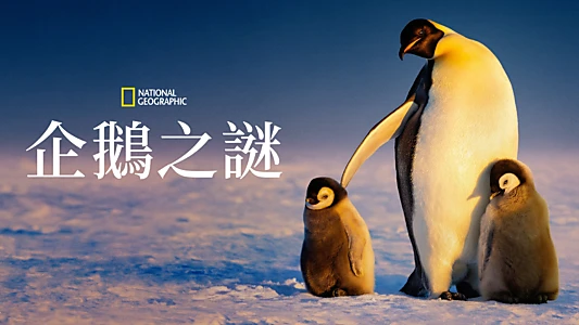 Secrets of the Penguins