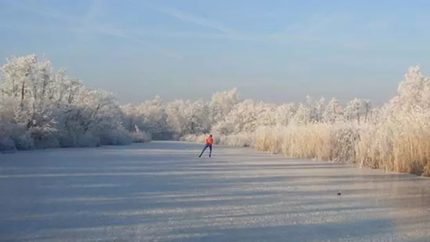 Als Het Kan Dan Moet Het