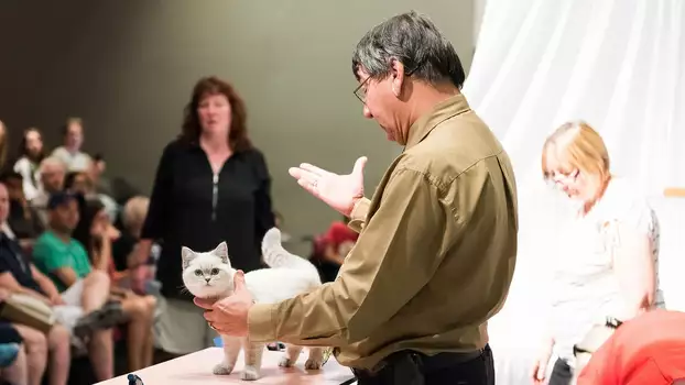 Watch Catwalk: Tales from the Catshow Circuit Trailer
