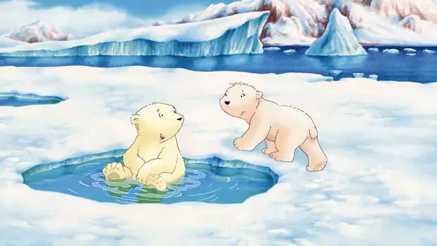 Watch The Little Polar Bear Trailer
