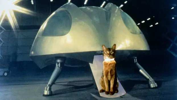 Watch The Cat from Outer Space Trailer
