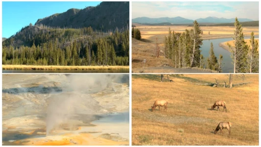 Watch World Natural Heritage USA: Yellowstone National Park Trailer