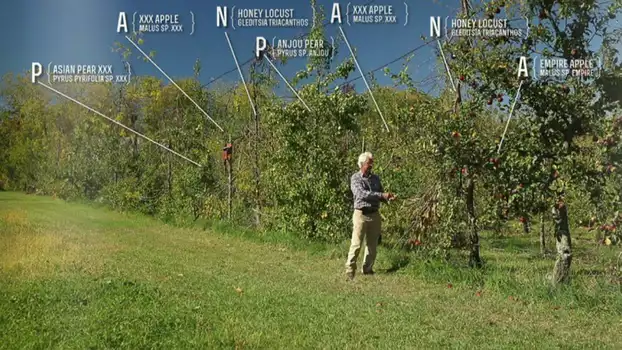 Watch The Permaculture Orchard: Beyond Organic Trailer