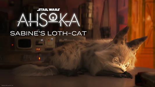 Ahsoka: Sabine's Loth-Cat