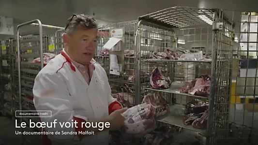 Le bœuf voit rouge