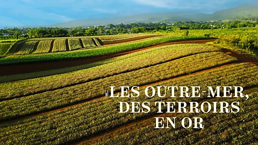 Les Outre-mer, des terroirs en or