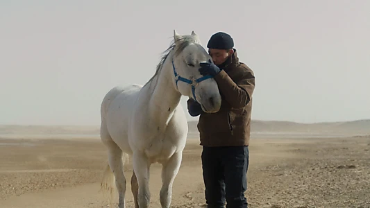 To Kill a Mongolian Horse