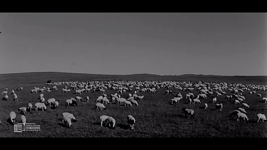 Gathering of Sheep