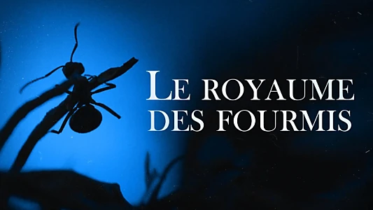 Le Royaume des fourmis