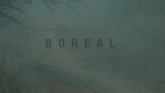 Boreal