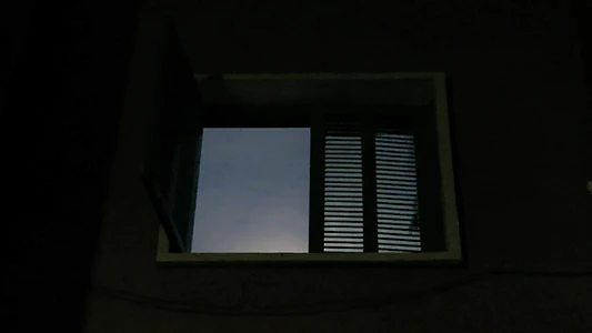 The windows